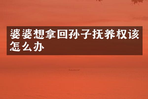婆婆想拿回孙子抚养权该怎么办