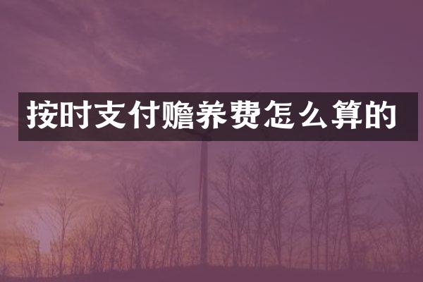 按时支付赡养费怎么算的