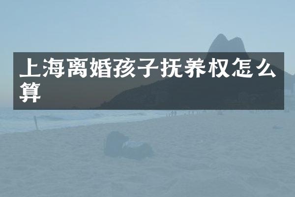上海离婚孩子抚养权怎么算