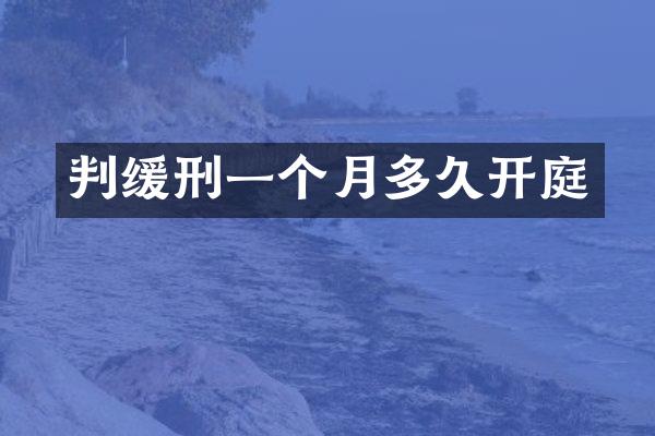 判缓刑一个月多久开庭