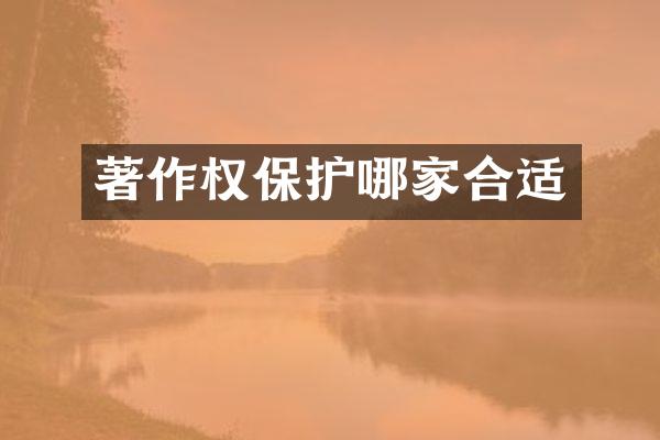 著作权保护哪家合适