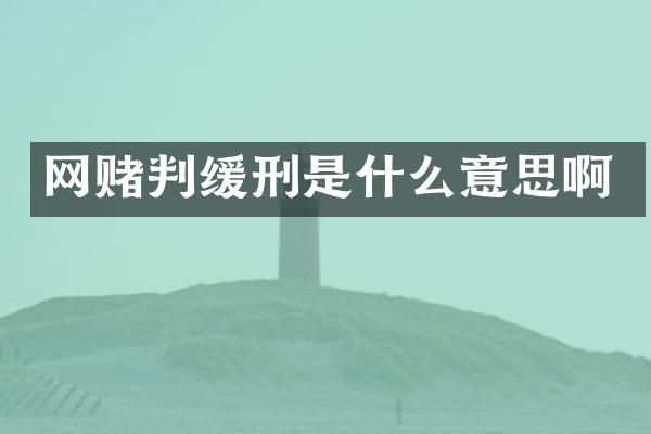 网赌判缓刑是什么意思啊