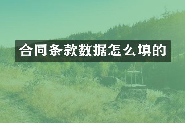 合同条款数据怎么填的