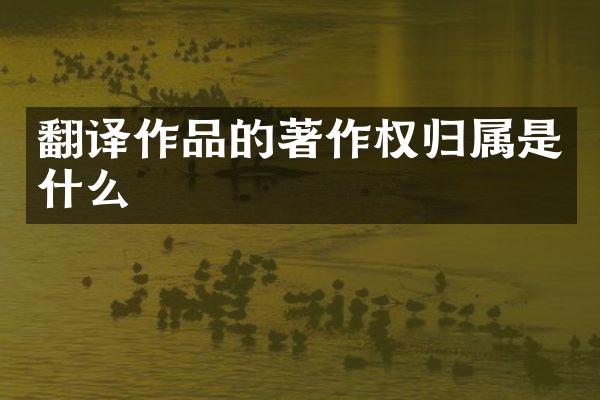 翻译作品的著作权归属是什么