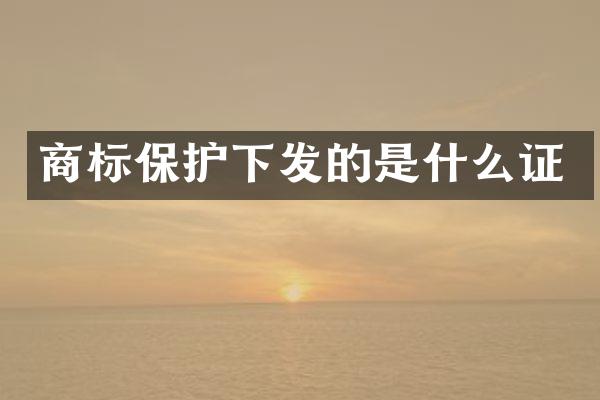 商标保护下发的是什么证