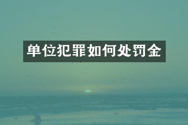 单位犯罪如何处罚金