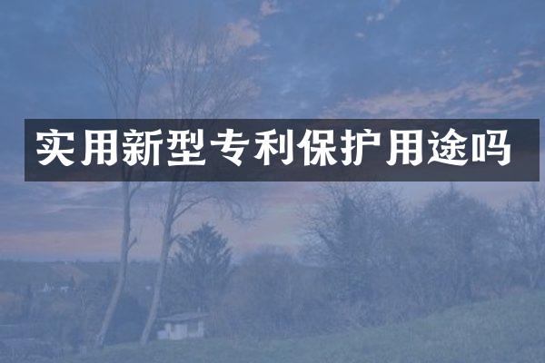 实用新型专利保护用途吗