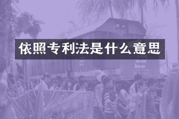 依照专利法是什么意思