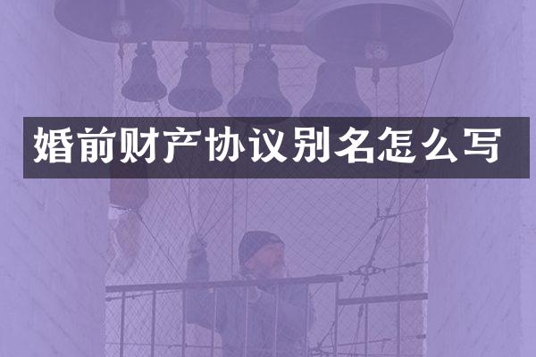 婚前财产协议别名怎么写