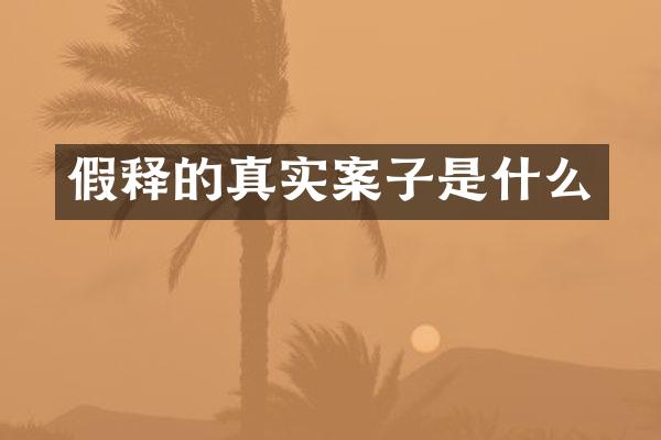 假释的真实案子是什么