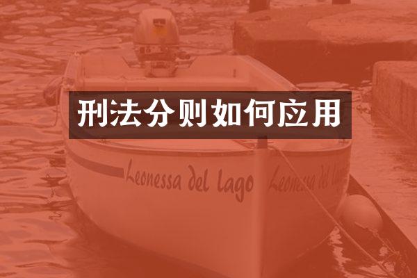 刑法分则如何应用