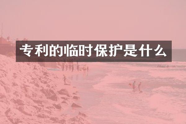 专利的临时保护是什么