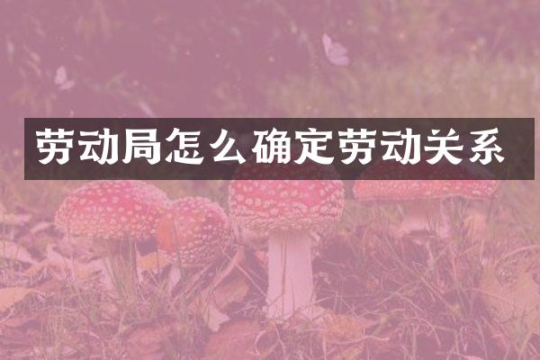 劳动局怎么确定劳动关系