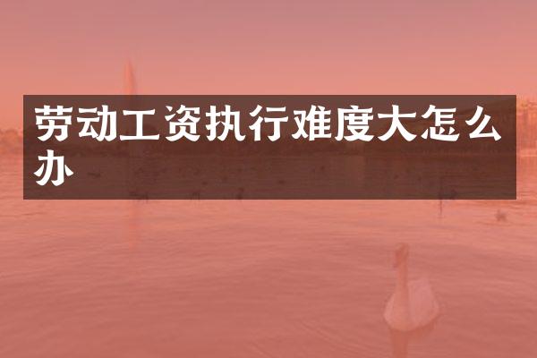 劳动工资执行难度大怎么办