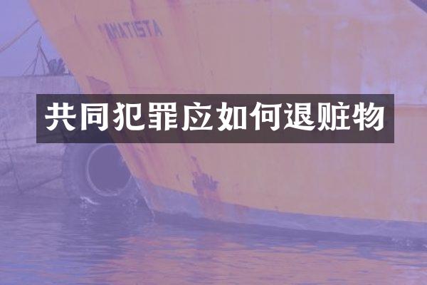 共同犯罪应如何退赃物