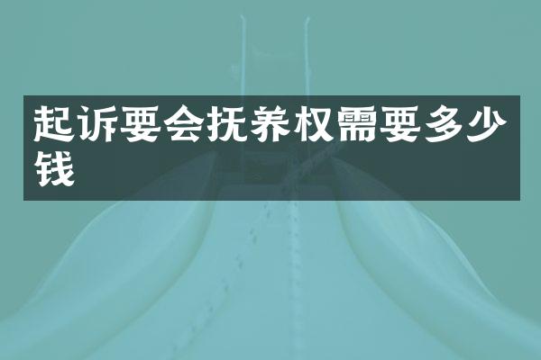 起诉要会抚养权需要多少钱