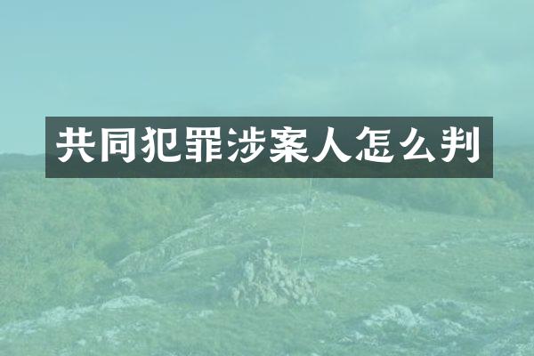 共同犯罪涉案人怎么判