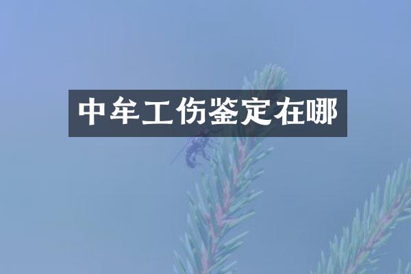 中牟工伤鉴定在哪