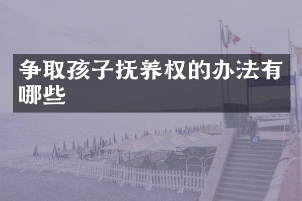 争取孩子抚养权的办法有哪些