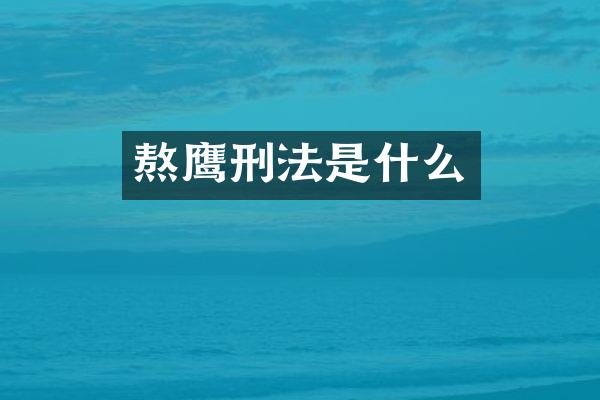 熬鹰刑法是什么