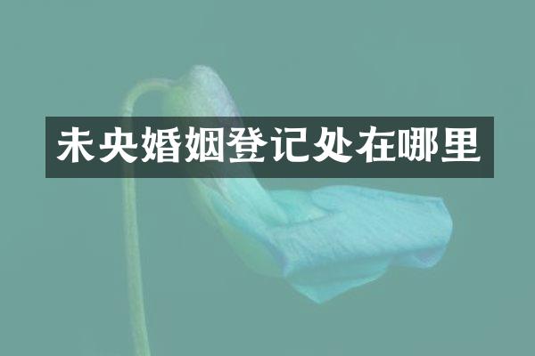 未央婚姻登记处在哪里