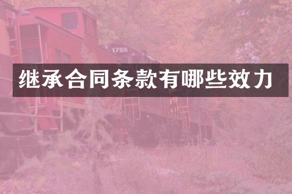 继承合同条款有哪些效力