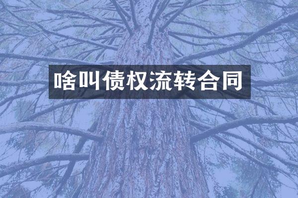 啥叫债权流转合同