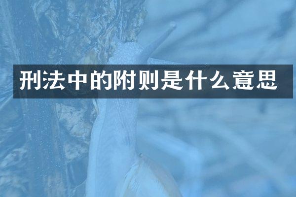 刑法中的附则是什么意思