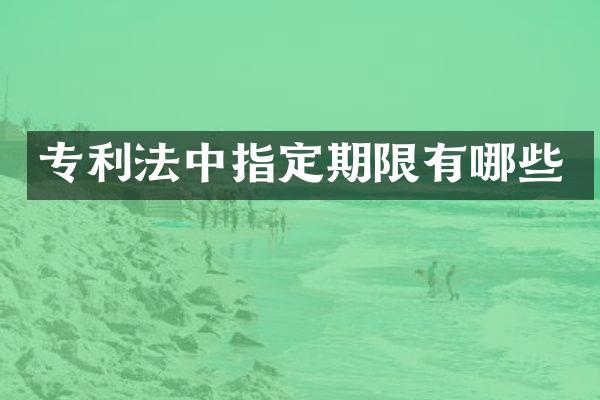 专利法中指定期限有哪些