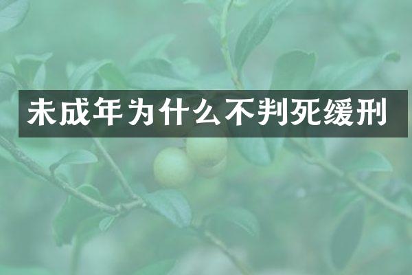 未成年为什么不判死缓刑