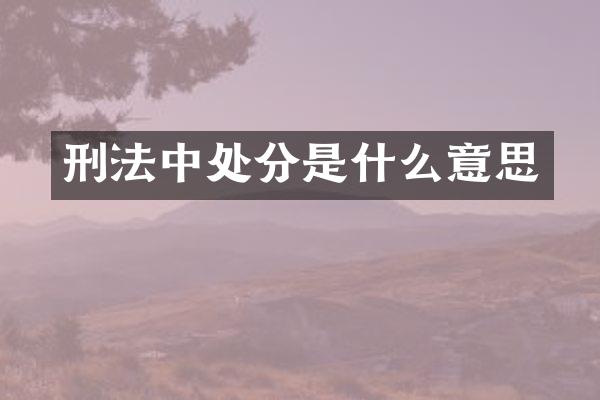 刑法中处分是什么意思