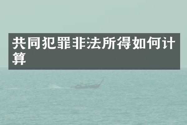 共同犯罪非法所得如何计算