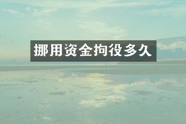 挪用资金拘役多久
