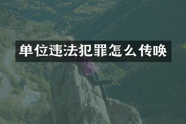 单位违法犯罪怎么传唤