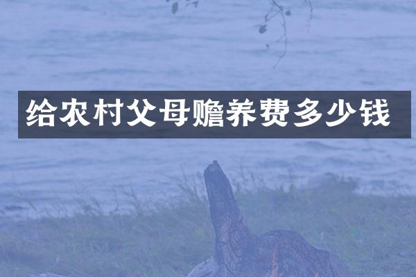 给农村父母赡养费多少钱
