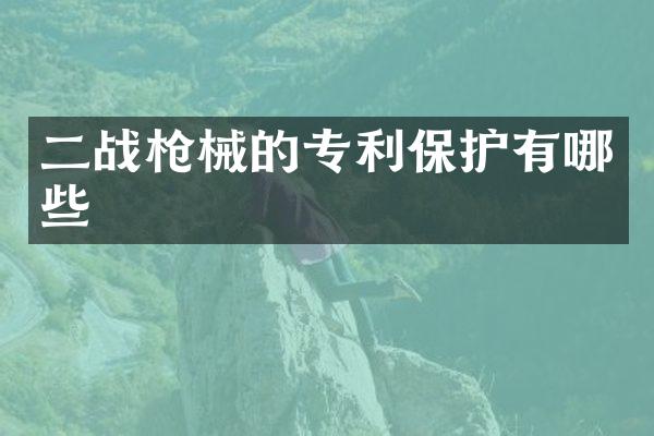 二战的专利保护有哪些