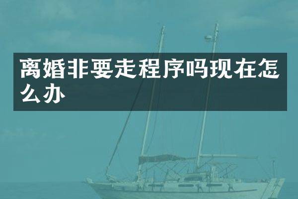 离婚非要走程序吗现在怎么办