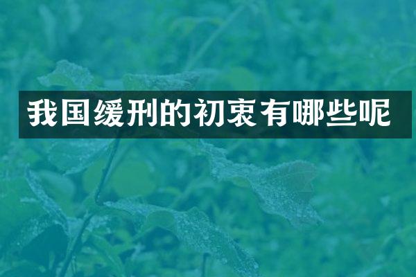 我国缓刑的初衷有哪些呢