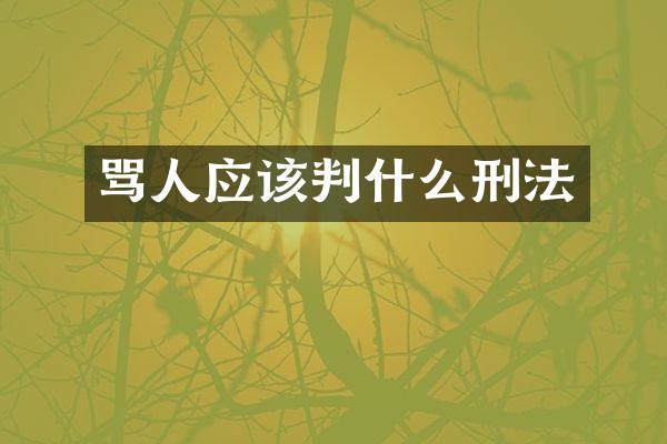 骂人应该判什么刑法
