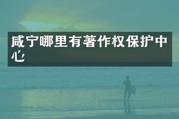 咸宁哪里有著作权保护中心