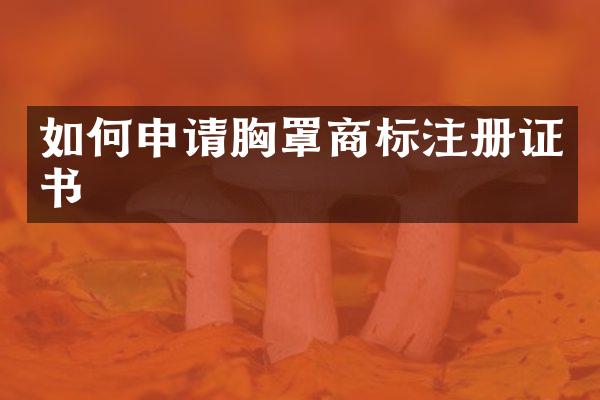 如何申请胸罩商标注册证书