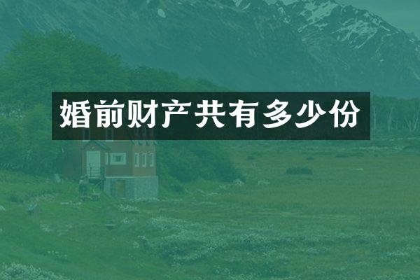 婚前财产共有多少份
