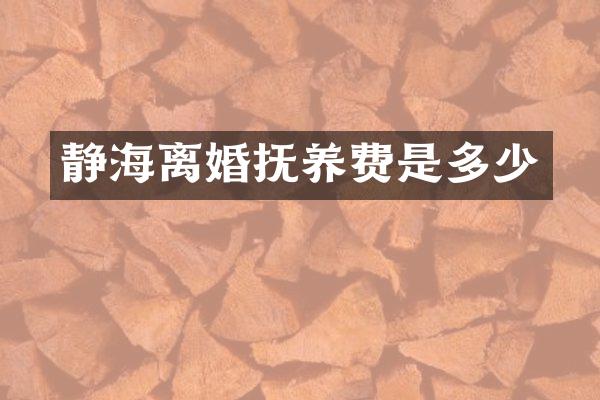 静海离婚抚养费是多少