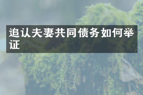 追认夫妻共同债务如何举证