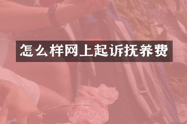 怎么样网上起诉抚养费