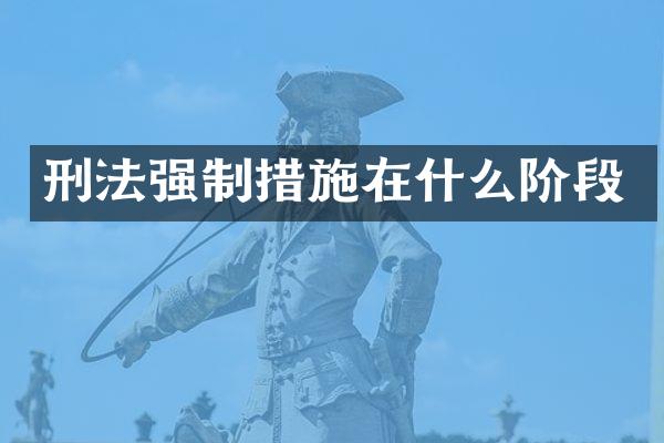 刑法强制措施在什么阶段