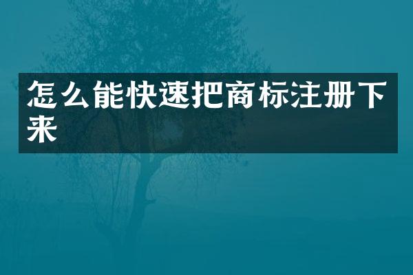 怎么能快速把商标注册下来