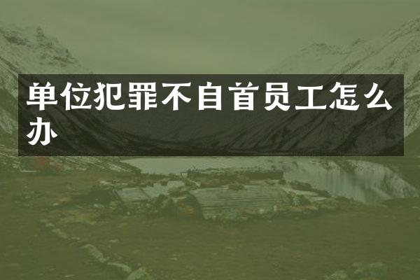 单位犯罪不自首员工怎么办
