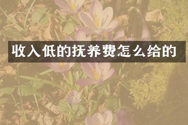 收入低的抚养费怎么给的