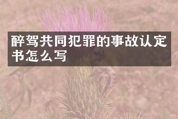 醉驾共同犯罪的事故认定书怎么写